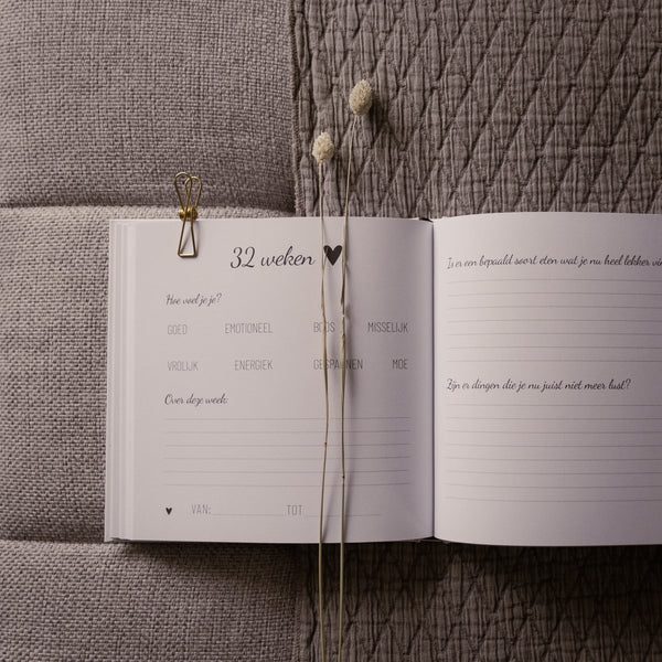Zwangerschapsboek | Lifestyle2Love