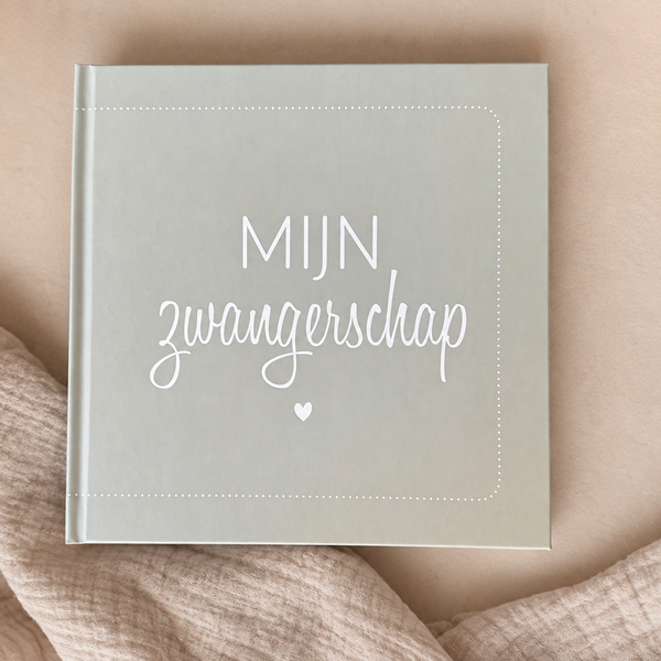Mijn zwangerschap invulboek